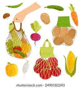 Vegetables. Set illustrations of ripe vegetables in eco packaging. Organic farm vegetables in flat style. Eco shopping net bag in the human hand. Shopping mesh bag with various grocery product.