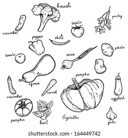 Vegetables set of illustrations in the style of line art