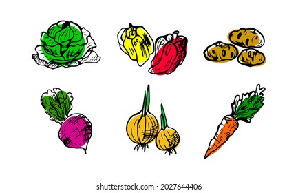 El conjunto de verduras incluye pimienta, cebolla, zanahoria, papa, col, remolacha aislada en blanco. Esbozo dibujado a mano Estilo de esquema de doodle Ilustración vectorial para el afiche, folleto, volante, recetas, menú en línea