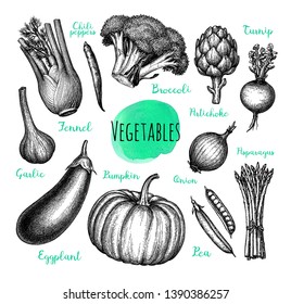Vegetables set. Ink sketch isolated on white background. Hand drawn vector illustration. Retro style.