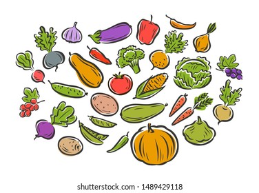 Vegetables set isolated on white background. Vector illustration