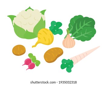 Vegetables set. Isometric vector illustration in flat design.