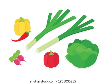 Conjunto de verduras. Isometric vectorial ilustración en diseño plano.
