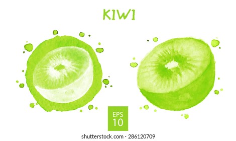 Vegetables set - kiwi. Watercolor drawing. Vector