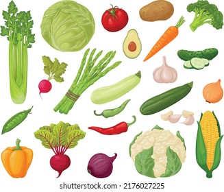 Vegetables set. A large collection of vegetables, such as celery, cabbage, tomatoes, potatoes,carrots,cucumbers, garlic, zucchini and also pepper, beets, onions and corn. Vegetarian products.