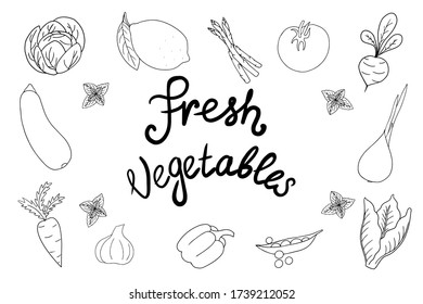Vegetables set and lettering vector illustration in doodle style. Can be used in banner decoration for vegetable shop or wrapping craft.