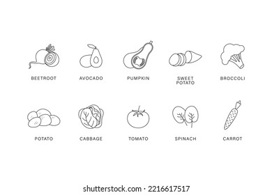 Vegetables. A set of vegetables on a white background. Vetkornaya illustration. Linear art. Broccoli, avocado, potatoes, carrots, spinach, pumpkin, tomato, cabbage, sweet potato, beetroot.