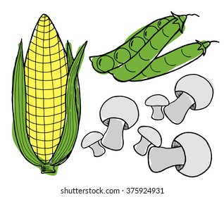 Vegetables set on white background. Free hand drawn. Vector illustration. Peas, 
mushrooms, corn.