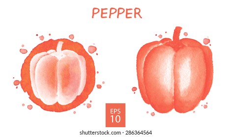 Vegetables set - pepper. Watercolor drawing. Vector