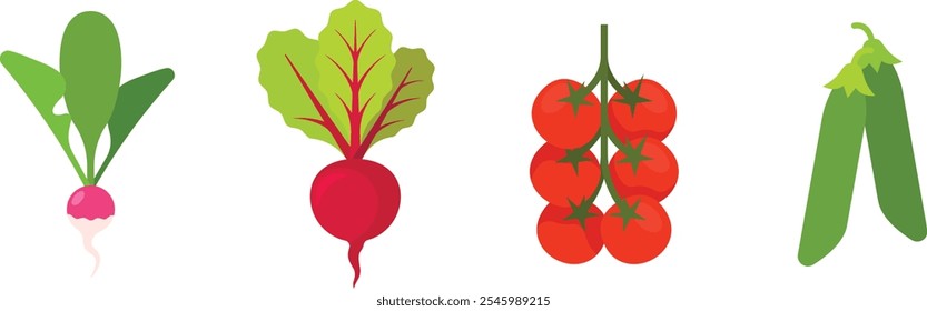 Conjunto de verduras con rábano, remolacha, tomates cherry, guisante; ilustraciones planas aisladas en fondo transparente