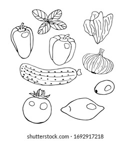 Vegetables set, sweet peppers, lettuce, basil, tomato, cucumber, red onion, olives and lemon, vector doodle illustration