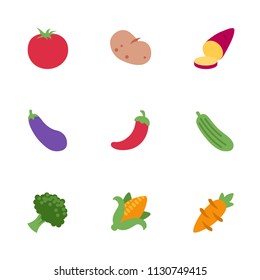 Vegetables set tomato eggplant carrot corn zucchini pepper icons, vector illustration symbols set