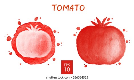 Vegetables set - tomato. Watercolor drawing. Vector