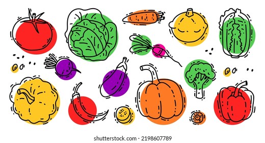 Vegetables set with tomato, white cabbage, beetroot, patisson, chili pepper, eggplant, pumpkin, carrot, radish, broccoli, bell pepper, Chinese cabbage. Doodle graphics vector illustrations with color 