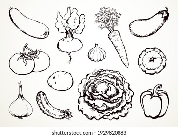 Vegetables set. Vector drawing food object