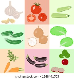 Vegetables. Set of vector icons with cucumbers, eggplants, zucchini, carrots, garlic, onions, tomatoes