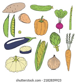 Vegetables conjunto ilustración vectorial, color de dibujo manual