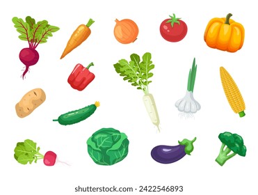 Vegetables set. Vector illustration isolated on white background.