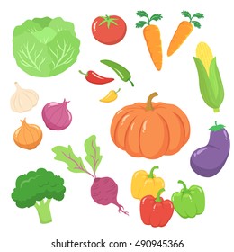 Vegetables set vector illustration isolated on white background. Onion, garlic, tomato, bell pepper, chili pepper, broccoli, cabbage, corn, carrot, pumpkin, eggplant, beetroot.
