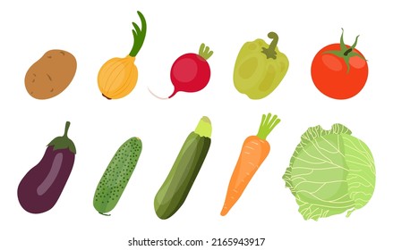 Vegetables set, vector illustrations. Flat design. Vegetarian collection, healthy food bundle. Salad set for cookbook design