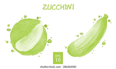 Vegetables set - zucchini. Watercolor drawing. Vector