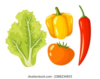 Gemüseangebot für Salat. Tomate, Glockenpfeffer, Chilischoten und Salat auf weißem Hintergrund, Vektorgrafik