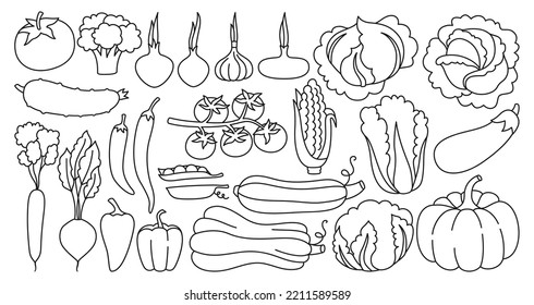 Vegetables sign linear set. Healthy diet food farm product veggies collection. Farming harvest cauliflower, tomato broccoli, cucumber, pepper carrot, salad. Cooking ingredients doodle style vector