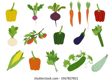 Vegetables Simple Set: Bell Pepper, Radish, Beetroot, Carrot, Turnip, Tomato, Eggplant, Celery, Corn, Lettuce, Cucumber,