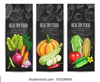 Vegetables sketch banners. Vegetarian healthy food menu on chalkboard. Vector beet and carrot, garlic, pea and pumpkin, zucchini and chili pepper, cabbage, cucumber, tomato, corn