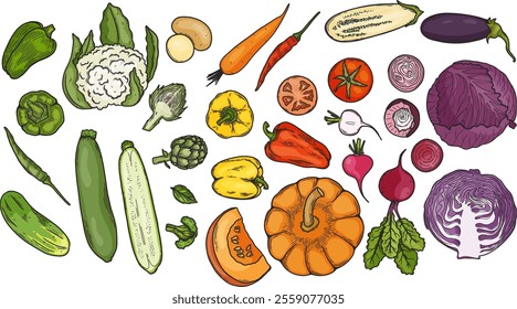 Vegetables sketch drawing collection. carrot,  pepers, tomato, cucumber, cabbage, potato, etc. Hand drawn vector doodle illustrations in colorful style