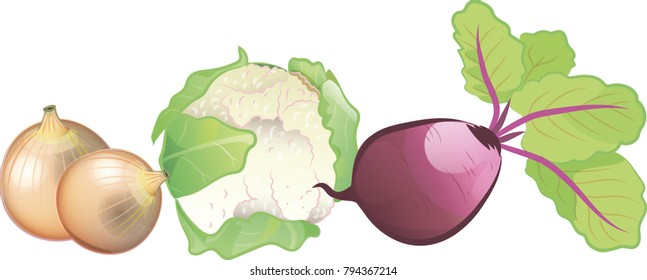 Vegetables sketch icons of farmer market. Vector onion, cauliflower, beetroot.