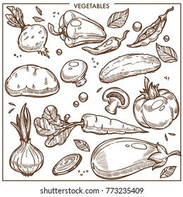Hortalizas bocetos íconos vectores vegetales vegetales vegetales vegetales frescos alimentos vegetales