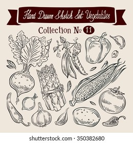 Vegetables sketch. set of elements - beet, peas, sweet pepper, garlic, tomato, potato, corn, asparagus, hot pepper