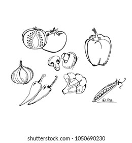 Vegetables in sketch style, hand drawn vector illustration