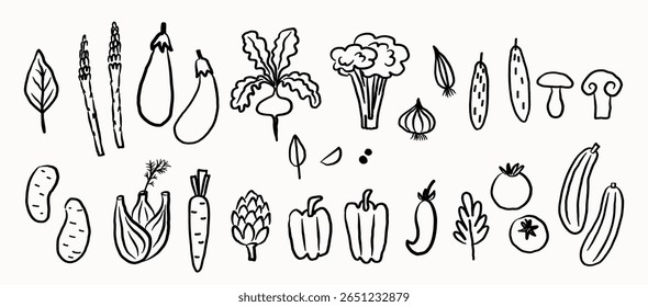 Vegetables sketch vector illustration on isolated background. Set with nutrition, food, carrot, cabbage, tomato, mushroom, potato, radish, onion, garlic, pepper, paprika, cucumber, greens, eggplant