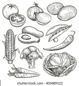 Vegetables, sketches, hand drawing, vector set