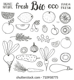 Vegetables sketches.Hand drawn vector. Fresh doodles fruits,lettering.Tomato,carrot,cucumber,eggplant, radish,beet,orange,lemon,cherry. Eco,bio natural  Illustration