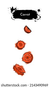 Vegetables sliced carrot. Hand drawn sketch orange watercolor painting on white background. For menu or poster.Grunge ink texture frame graphic vector illustration. For menu, poster, or salad recipe. 