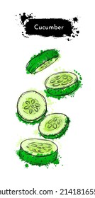 Cachorros de verduras cortados. Dibujo manual de la pintura de acuarela verde sobre fondo blanco. Ilustración vectorial gráfica de marco de textura de tinta de nitidez. Para menú, afiche o receta de ensalada. 