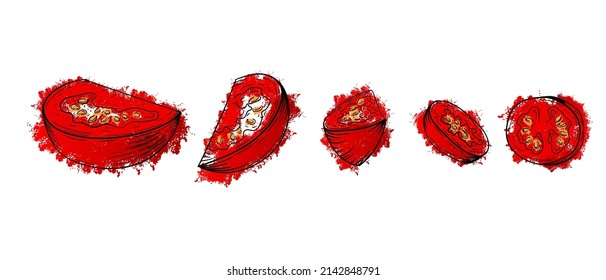 Vegetables sliced tomato. Hand drawn sketch red watercolor painting on white background. For menu, poster, pizza or salad recipe. Grunge texture graphic vector illustration.