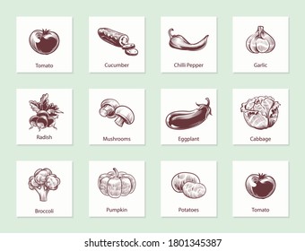 Vegetables slide set. Templates for label design with hand drawn linear vegetable, various vintage hand drawn bio food with text, farming eco food. Sketch style vector isolated set
