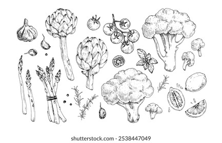 Conjunto de verduras, especias y hierbas. Alcachofa, brócoli, espárragos, limón, ajo, pimienta negra, albahaca, romero y tomates cherry dibujados a mano con tinta. Ilustraciones vectoriales. para recetas vegetarianas