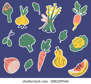 Vegetables Sticker Set. Carrots, artichoke, asparagus, onion, pumpkin, broccoli, cauliflower and foliage. Cooking. Healthy food. Vector cartoon hand draw illustration.