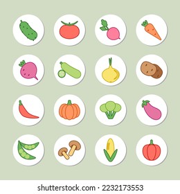 Vegetables stickers set in flat design. Color vector illustration. Tomato, cucumber, pepper, carrot, pumpkin, onion and etc.