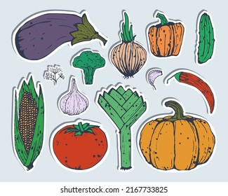 Pegatinas de verduras. Conjunto de verduras de color lineal. Ilustración plana. Eps10
