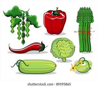 vegetables summer colored on white background