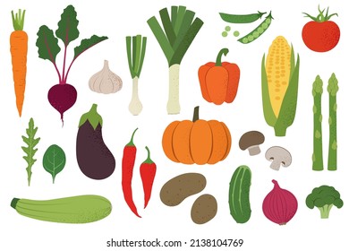 Vegetables. Tasty healthy food, organic, vegan. Flat vector illustration. Carrot, beet, garlic, onion, leek, pepper, peas, arugula, spinach, eggplant, chili, pumpkin, champignon, asparagus, zucchini.