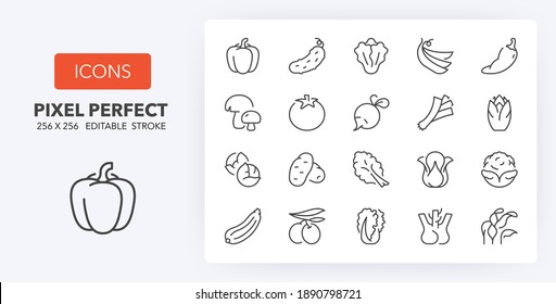 Juego de iconos de línea delgada de verduras. Colección de símbolos de esquema. Razo vector modificable. 256x256 Pixel Perfect escalable a 128px, 64px...