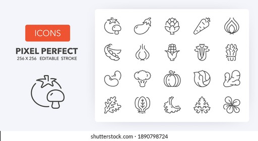 Vegetables thin line icon set. Outline symbol collection. Editable vector stroke. 256x256 Pixel Perfect scalable to 128px, 64px...