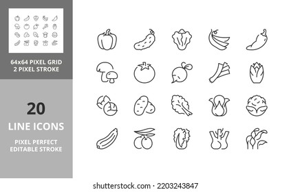 Juego de iconos de línea delgada de verduras. Colección de símbolos de esquema. Razo vector modificable. 64 y 256 Pixel Perfecto escalable a 128px